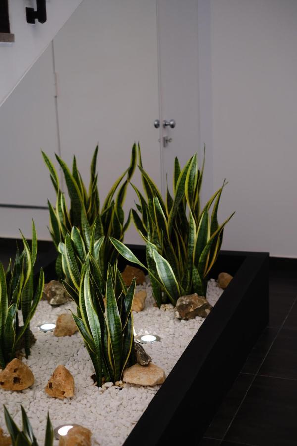 Domea Superior Rooms Bed And Breakfast Reggio di Calabria Exteriör bild